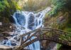 Khám phá vẻ đẹp mộng mơ của thác Dalanta trong tour du lịch Đà Lạt